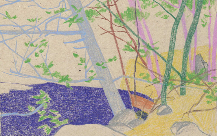 Seonna Hong: "A Different Eden"