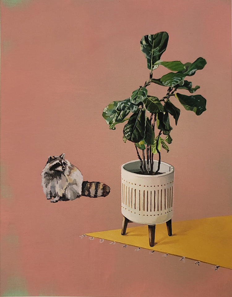 Holly Elander 'Raccoon 4'