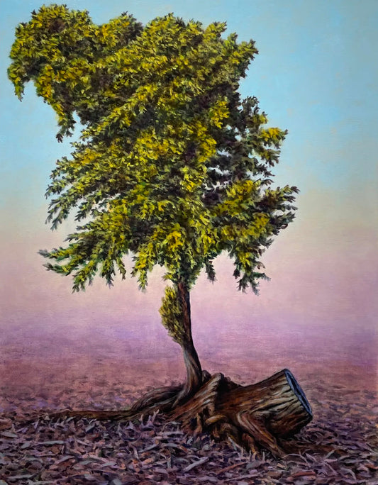 Jamie F. Adams 'Willow Piece #1'